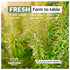 Eastanbul Rosemary Leaves 8.8oz, Dried Rosemary Seasoning, Natural, Freshly Picked Vegan Rosemary Herb, Rosemary Spice for Savory & Sweet Recipes,...